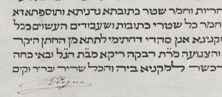 איור מתוך גיליון 495
