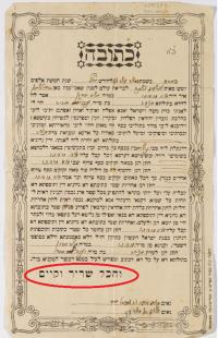 איור מתוך גיליון 495