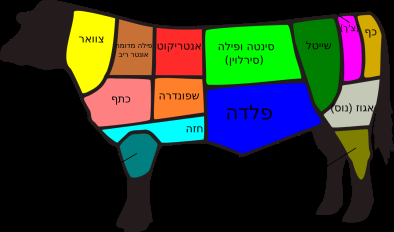 איור מתוך גיליון 533
