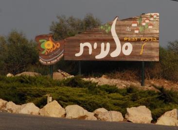 איור מתוך גיליון 800